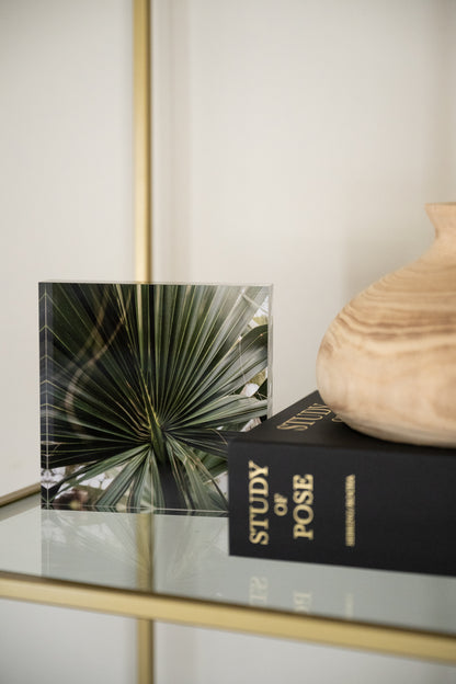 Palm Acrylic Block