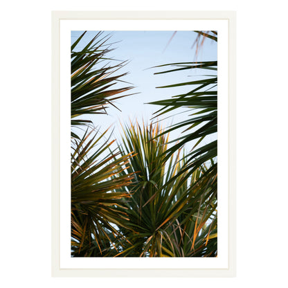 Photograph of beach palms in front of blue sky framed in white with white mat