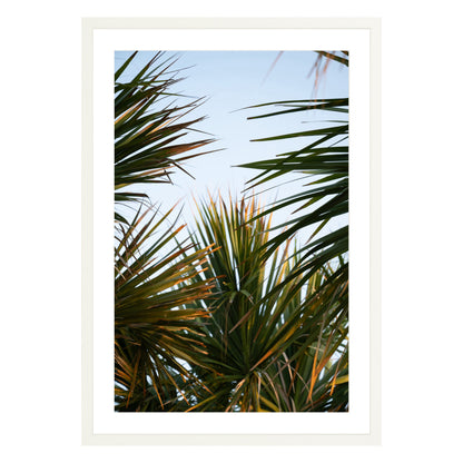 Photograph of beach palms in front of blue sky framed in white with white mat