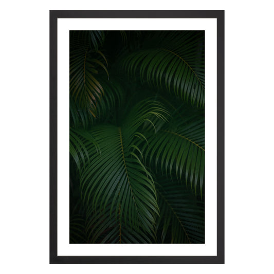 Photograph of palm branches at night in a black wood frame with white mat