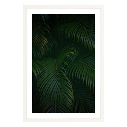 Photograph of palm branches at night in a white wood frame with white mat