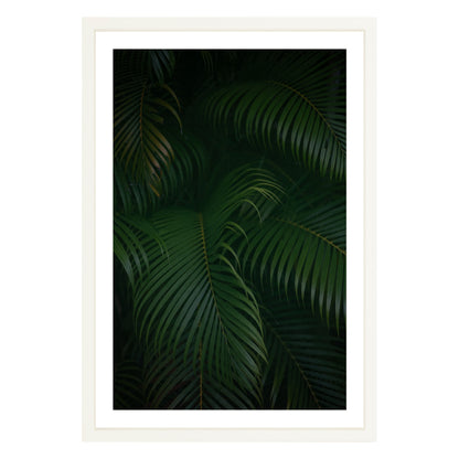Photograph of palm branches at night in a white wood frame with white mat