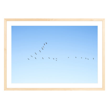 Photograph of birds in flying V shape in blue sky in natural wood frame with white mat