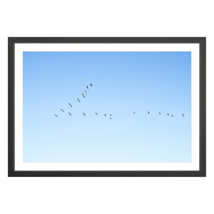 Photograph of birds in flying V shape in blue sky in black frame with white mat