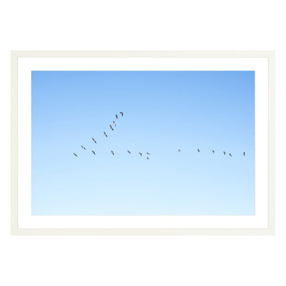 Photograph of birds in flying V shape in blue sky in white frame with white mat