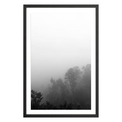 Fog