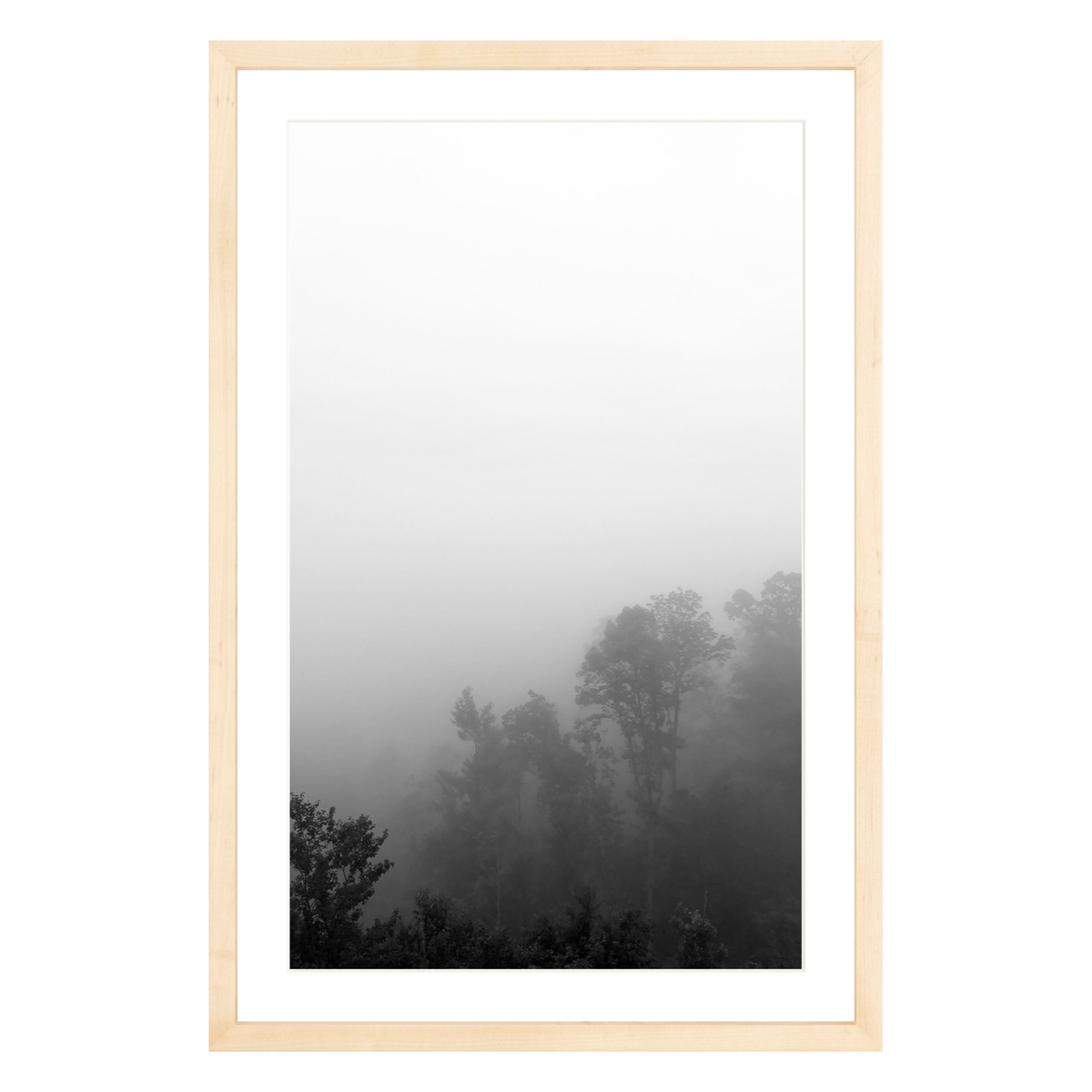 Fog