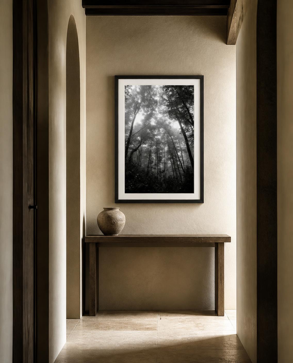 A framed black and white forest fine art photography print by Amanda Anderson hangs on a beige plaster wall above a wooden console table with a ceramic vase, viewed from a perspective doorway.
