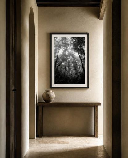 A framed black and white forest fine art photography print by Amanda Anderson hangs on a beige plaster wall above a wooden console table with a ceramic vase, viewed from a perspective doorway.