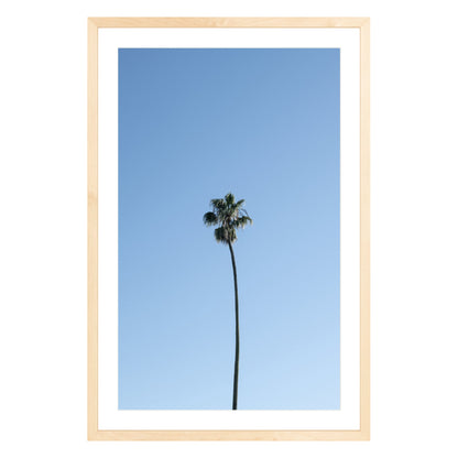 Photograph of single palm tree in front of blue sky in natural wood frame with white mat