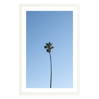Photograph of single palm tree in front of blue sky in white frame with white mat
