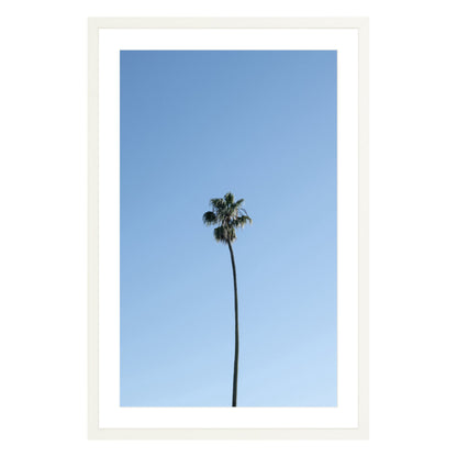 Photograph of single palm tree in front of blue sky in white frame with white mat