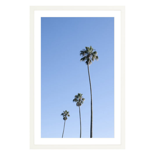 Photograph of three palm trees against blue sky framed in white with white mat