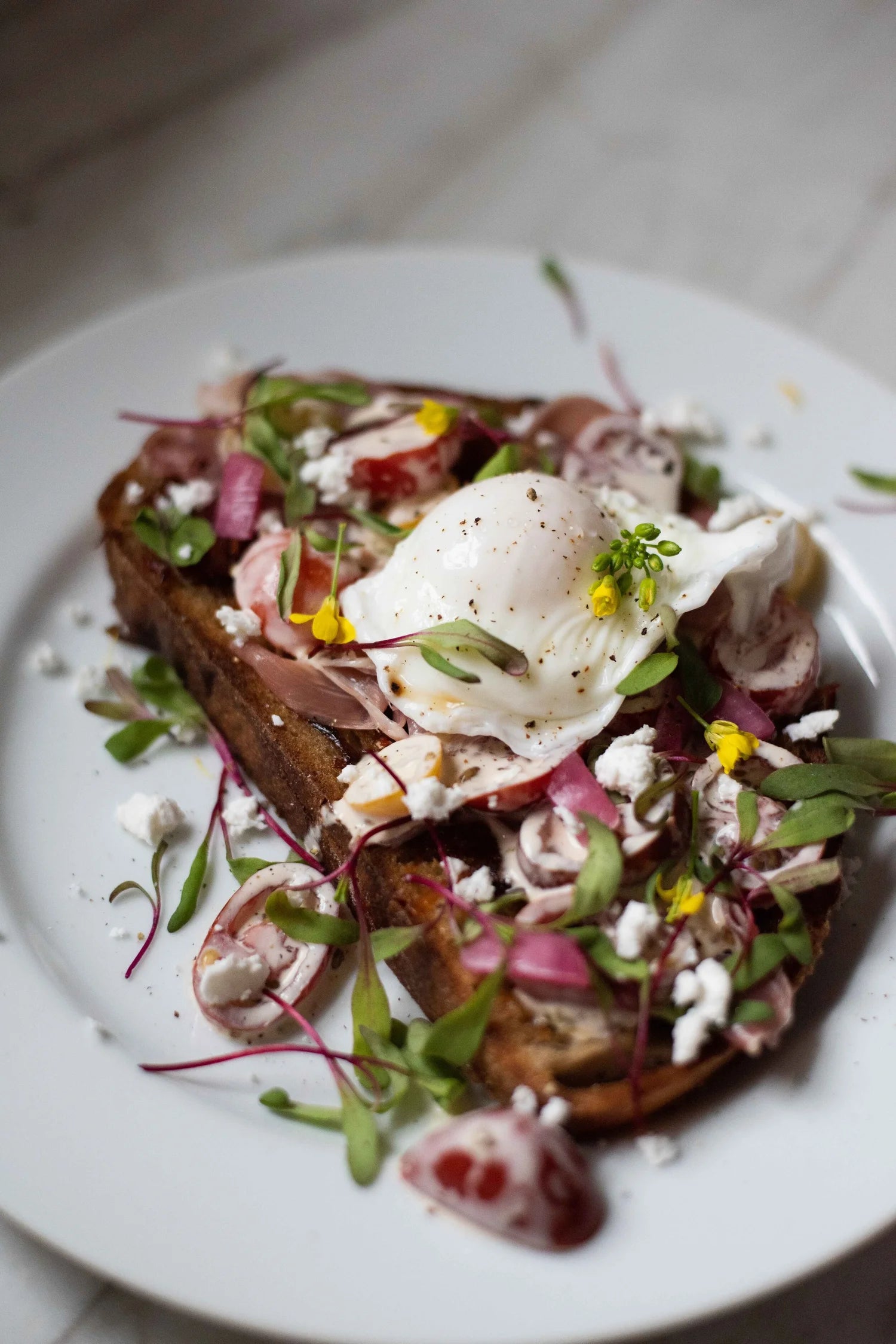 Plated dish with bread topped with poached egg, herbs, and other ingredients on a white plate.