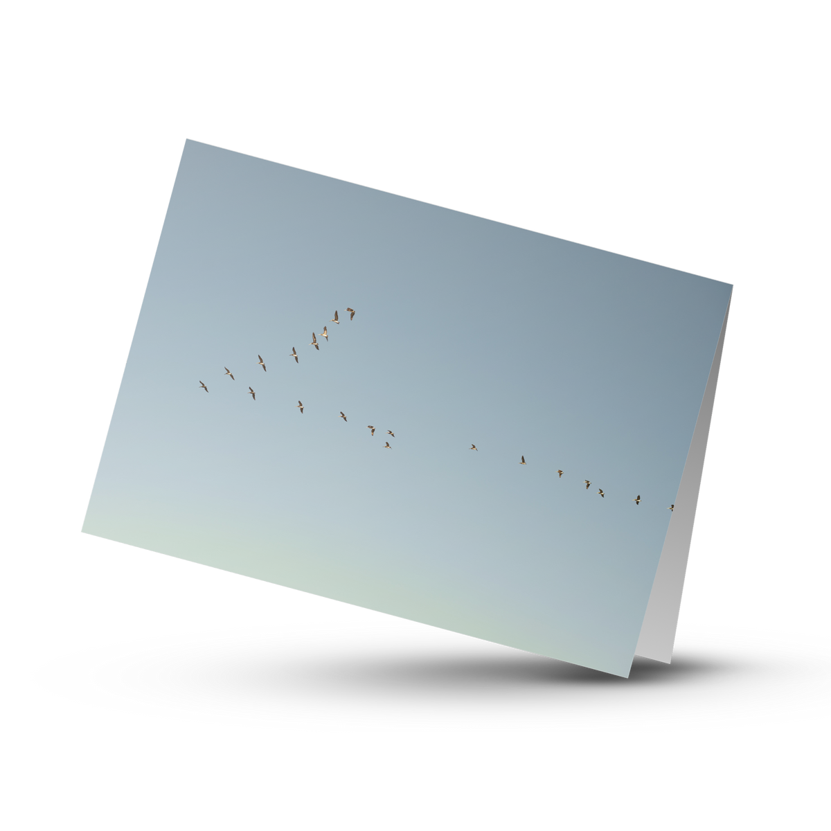 A Print Shop offers card packs with blank interiors for customers to write the perfect custom message.  "Flying V" by Amanda Anderson Photography, depicts the perfect V formation by a group of pelicans over the pacific ocean. 