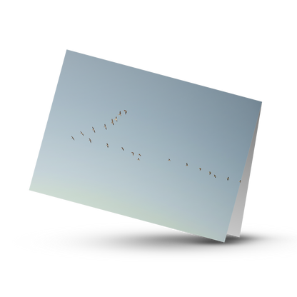 A Print Shop offers card packs with blank interiors for customers to write the perfect custom message.  "Flying V" by Amanda Anderson Photography, depicts the perfect V formation by a group of pelicans over the pacific ocean. 