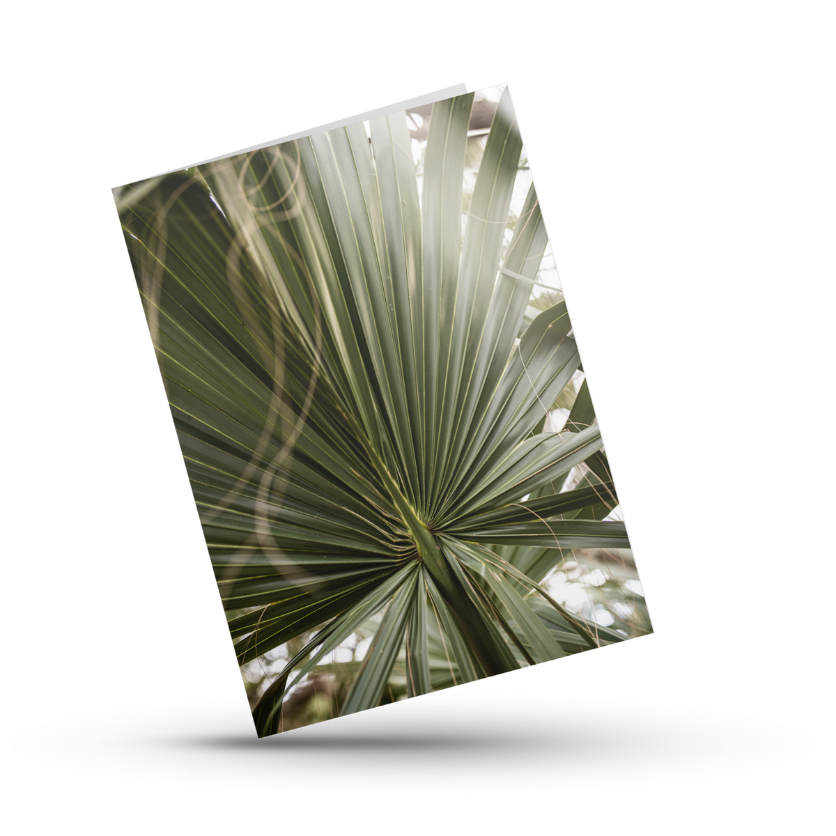 A Print Shop offers card packs with blank interiors for customers to write the perfect custom message. Amanda Anderson Photography's signature print, "Palm," is the perfect card front for any occasion.